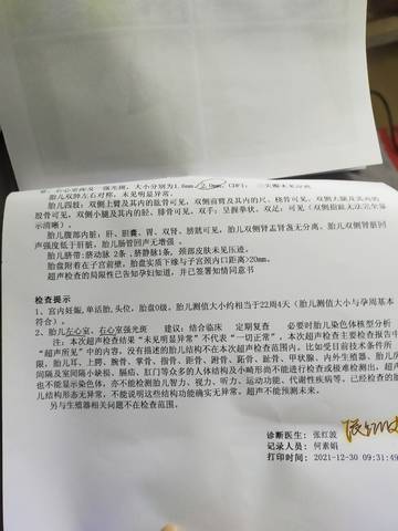 journal_insert_pic_1688885768