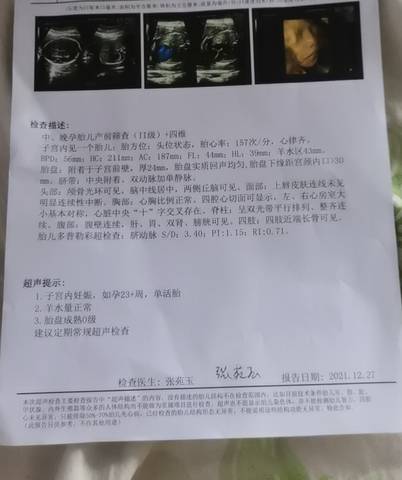 journal_insert_pic_1687169550