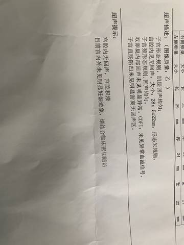 journal_insert_pic_1686988033