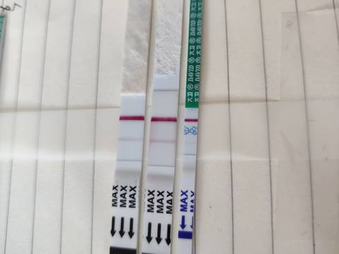 journal_insert_pic_1675495964