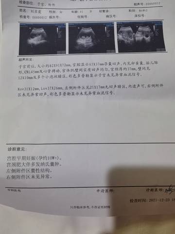 journal_insert_pic_1685044913