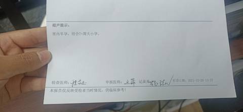 journal_insert_pic_1683055588