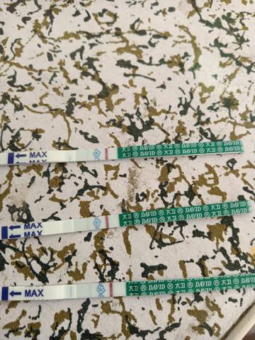 journal_insert_pic_1674604666