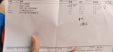 journal_insert_pic_1690052876