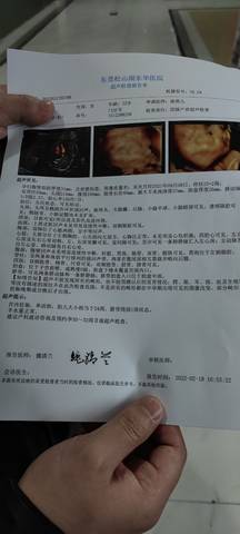 journal_insert_pic_1719707937