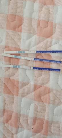 journal_insert_pic_1675745828