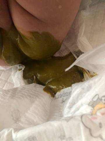 journal_insert_pic_1681750130