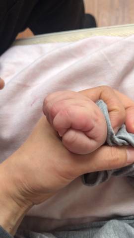 journal_insert_pic_1681365072