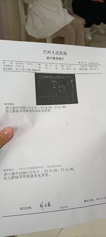 journal_insert_pic_1740825534