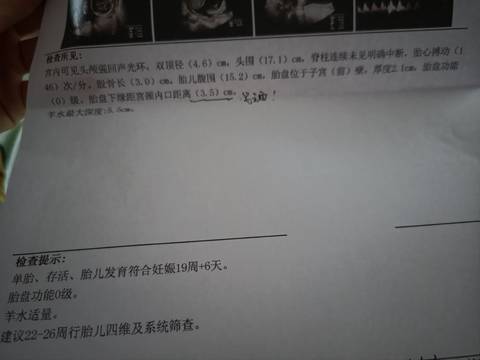 journal_insert_pic_1682064529