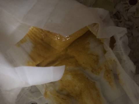 journal_insert_pic_1741048925