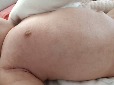 journal_insert_pic_1685940264