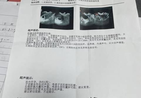 journal_insert_pic_1690090775