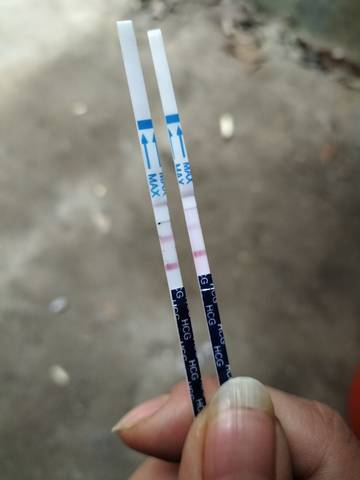 journal_insert_pic_1677253847