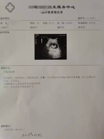 journal_insert_pic_1680992808
