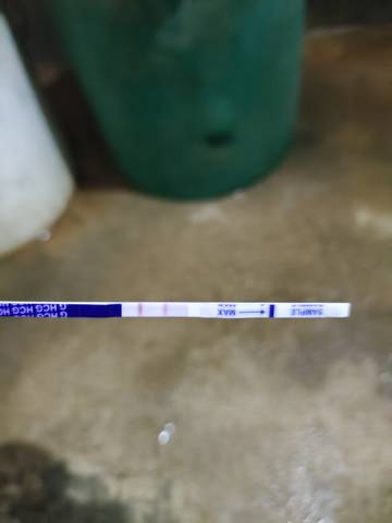 journal_insert_pic_1680142491