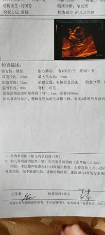 journal_insert_pic_1679557448