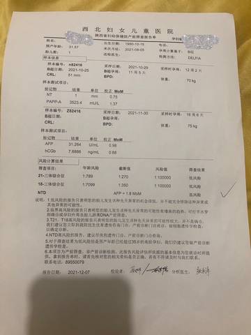 journal_insert_pic_1678031880