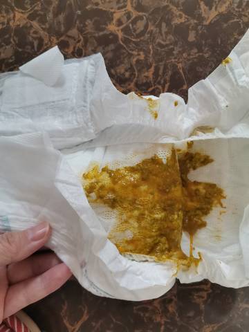 journal_insert_pic_1688274834