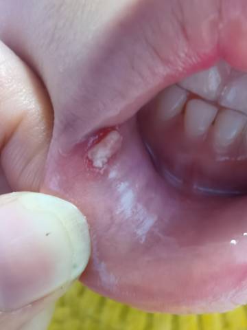 journal_insert_pic_1681146713