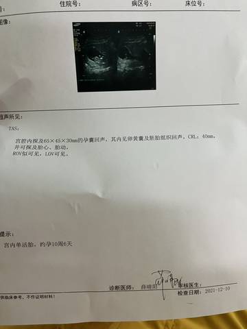 journal_insert_pic_1677628242