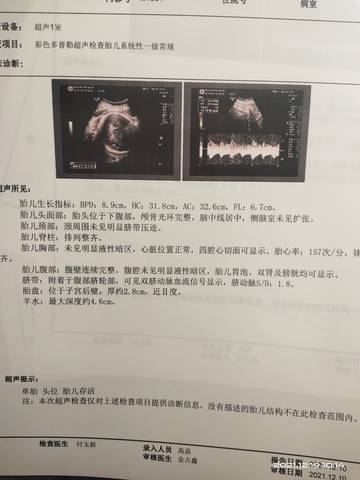 journal_insert_pic_1682417856