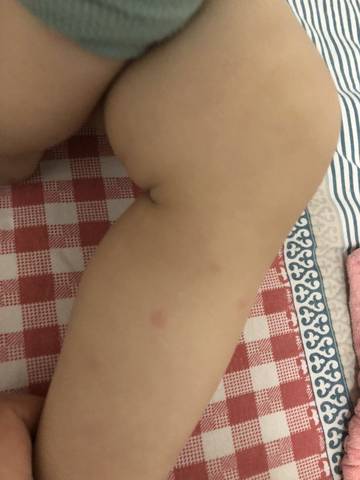 journal_insert_pic_1679994838