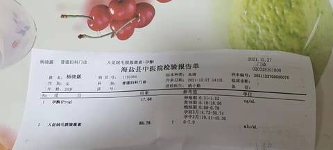 journal_insert_pic_1688590926