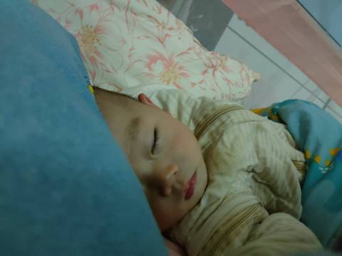 journal_insert_pic_1685052035