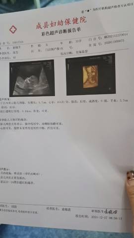 journal_insert_pic_1686984964