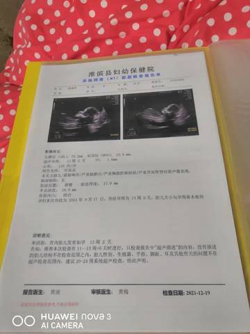 journal_insert_pic_1682677142