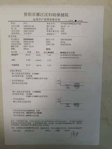 journal_insert_pic_1719501437