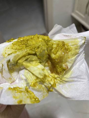 journal_insert_pic_1688735778