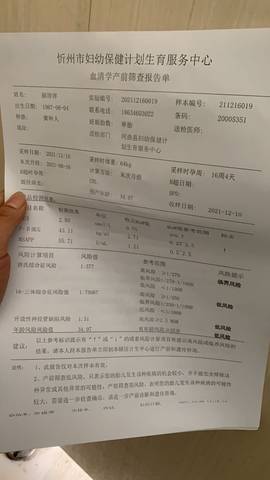 journal_insert_pic_1683098005