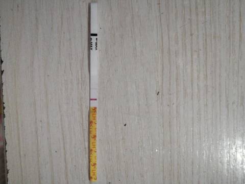 journal_insert_pic_1673873925
