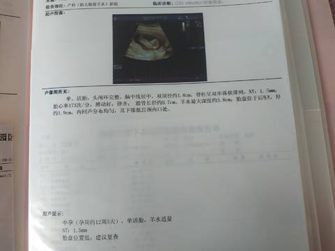 journal_insert_pic_1679538181