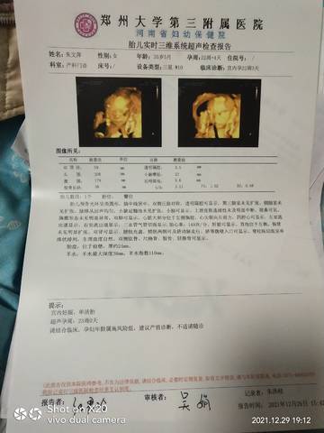 journal_insert_pic_1688945590