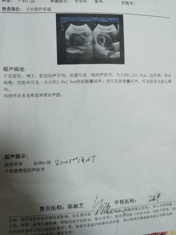 journal_insert_pic_1675547155