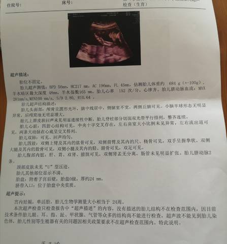journal_insert_pic_1685855674