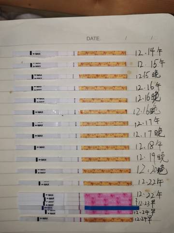 journal_insert_pic_1685113614