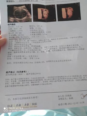 journal_insert_pic_1675893588