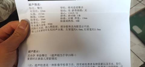 journal_insert_pic_1688780863