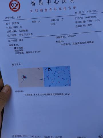 journal_insert_pic_1676124240