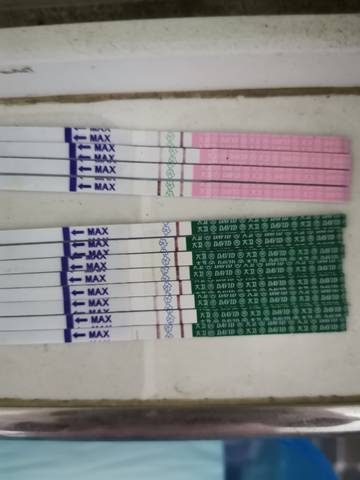 journal_insert_pic_1677569051