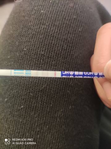 journal_insert_pic_1674629953