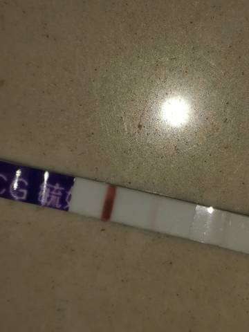 journal_insert_pic_1689310118