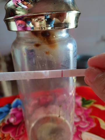 journal_insert_pic_1688364039