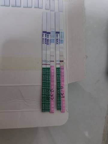 journal_insert_pic_1684193700