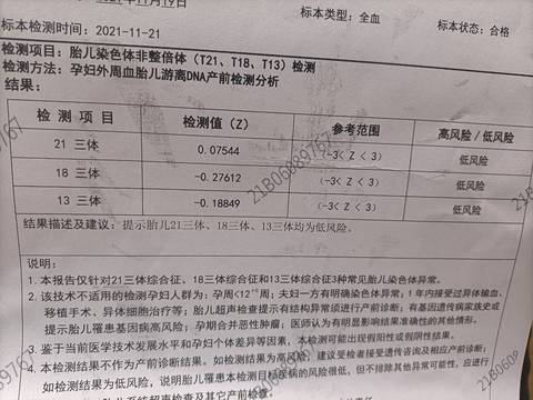 journal_insert_pic_1675305460