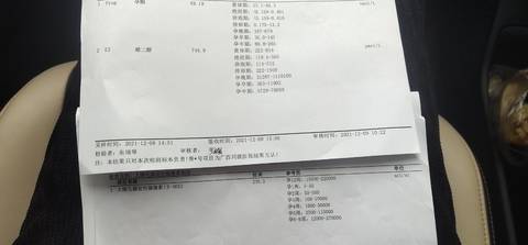 journal_insert_pic_1678542606